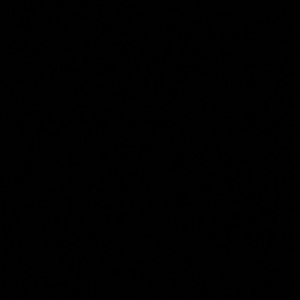 Meet your Posher, Sunny